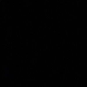 Meet your Posher, Fidel